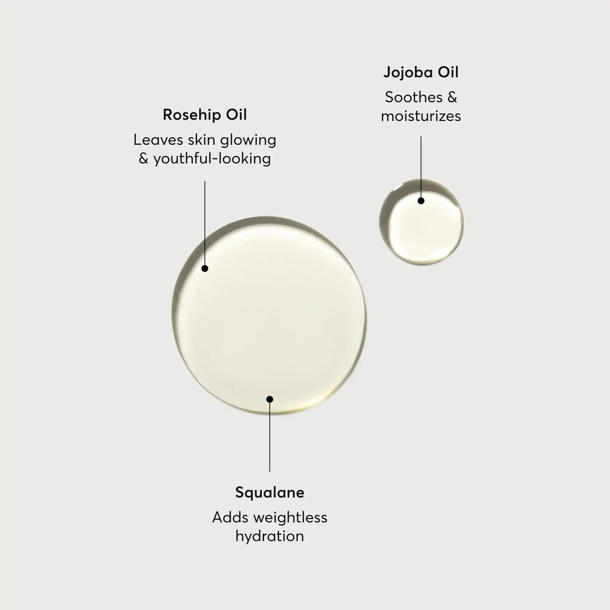 the-glow-getter-body-oil-m8 NATR-10115-Alt-Images-The-Glow-Getter-Body-Oil-01.webp