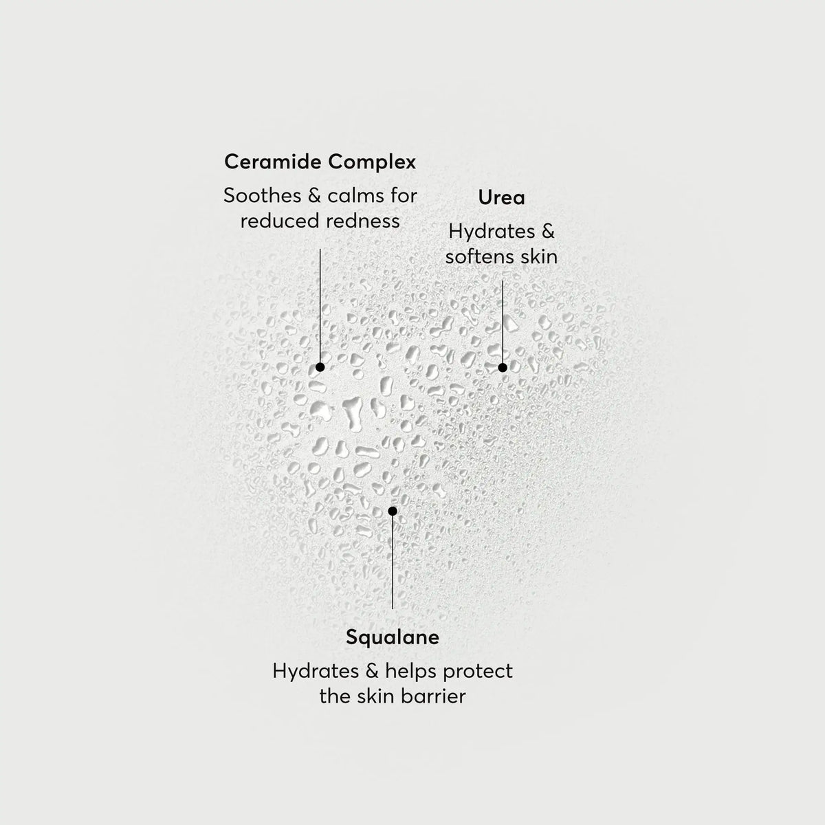 barrier-bounce-bi-phase-mist-v2 NATR-10167-Alt-Images-Barrier-Bounce-Bi-Phase-Toner-Mist_01.webp