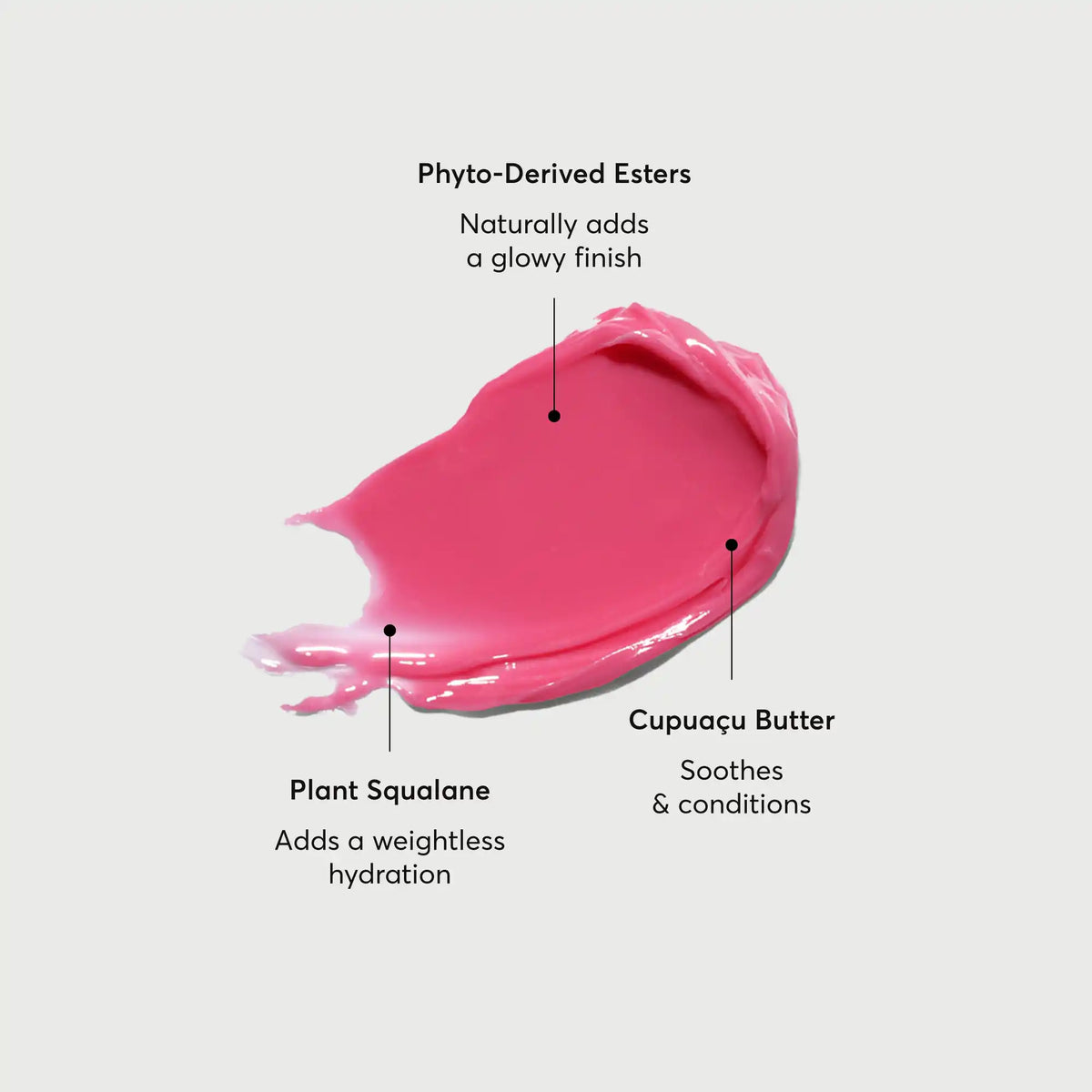 phyto-glow-lip-balm-camellia-k3 NATR-60075-Alt-Images-Phyto-Glow-Lip-Balm-Camellia-01.webp